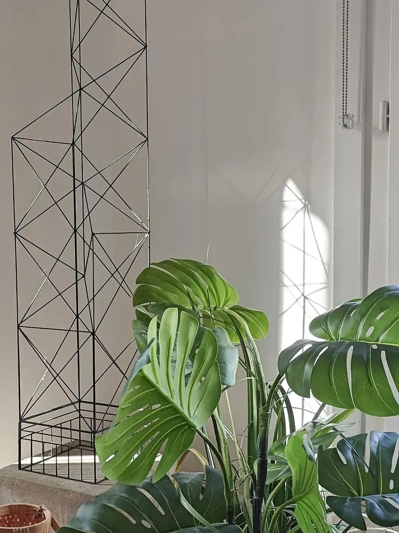 Apartment Saint-Germain-Des-Pres Love Story Paris